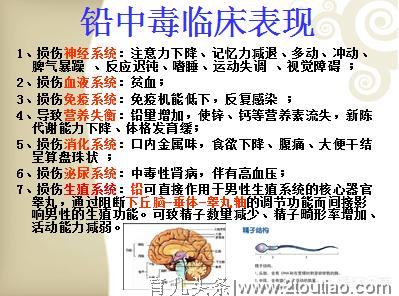 妈妈，我真的很想好好吃饭！别跟我贴“挑食”的标签，不是我的错