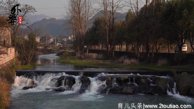 家里有脂肪肝的就记一下这个菜谱，便宜好吃看一遍学会