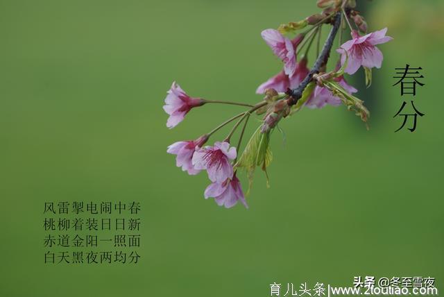 春分节气，要注意保肝护胃，这几种时令蔬菜特别好，收藏好备用