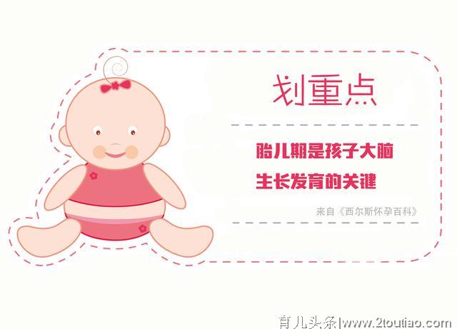 想宝宝聪明、大脑健康发育，这三点宝妈一定要知道，关系孩子一生