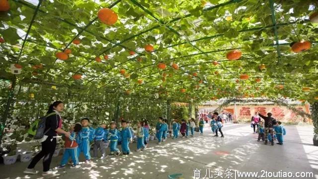 休闲农场怎么植入亲子项目？实现从一产到三产的产业突破