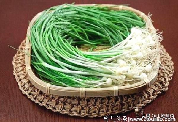 这种野菜你吃过吗？什么样的做法最好吃？