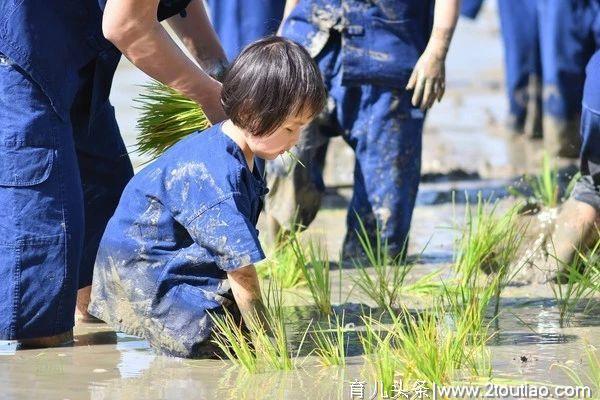 泰国亲子农场为何成为网红？这里有3大秘诀