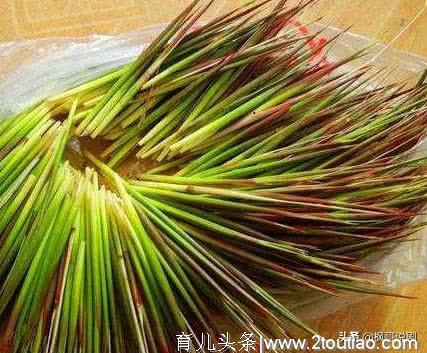 春天里特有的4种野菜，吃过第1种不算什么，吃过最后1种算你牛