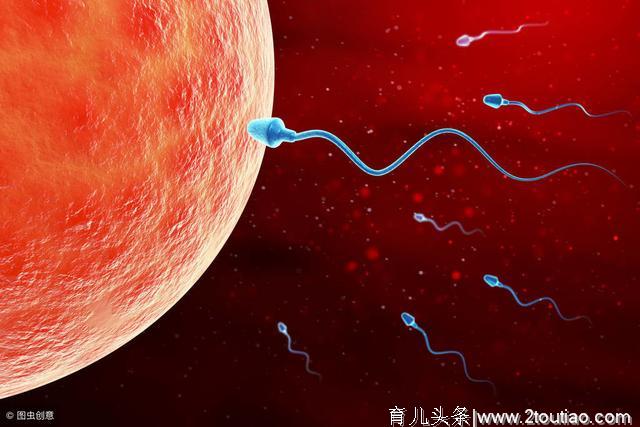 备孕时，想要快速怀孕怎么办？掌握助孕技巧，怀孕其实很简单！