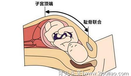 怀孕特征变化解析！能否顺产？生个大胖小子？身体2个细节告诉你
