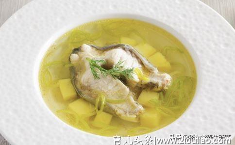 哺乳期奶水足宝宝才能吃得饱 哪些食物有助催奶