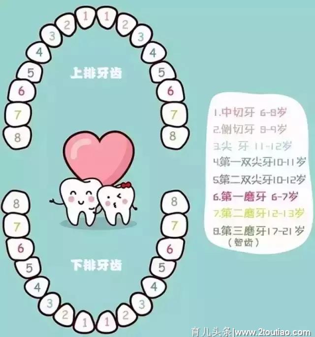 宝宝换牙时间表，换牙期家长必须储备的最全攻略！