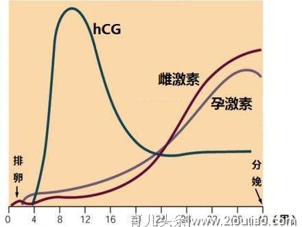 孕吐难受怎么办？掌握这6个饮食妙招，轻松度过孕早期！