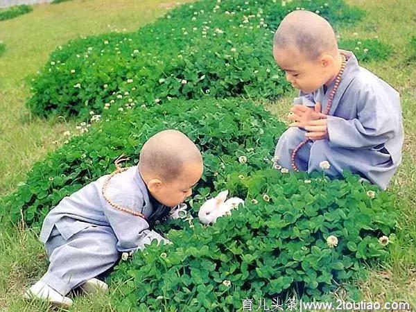 拉开孩子差距的不是智商，而是这3个习惯，家长别不重视！