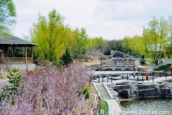 住在北京丰台，清明、五一去哪玩？这些地方等您来！踏青、赏花、登山、民俗、美食、亲子、养生，全都有！