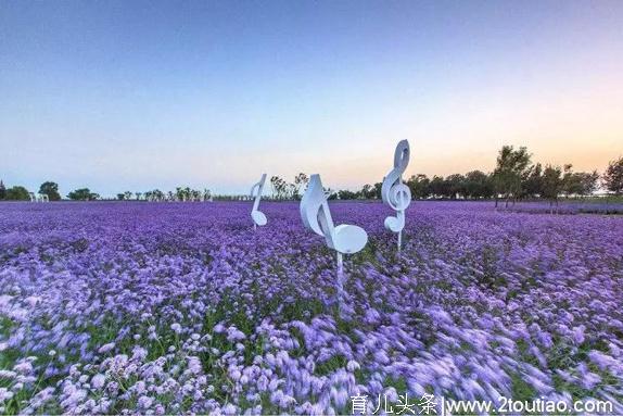 住在北京丰台，清明、五一去哪玩？这些地方等您来！踏青、赏花、登山、民俗、美食、亲子、养生，全都有！