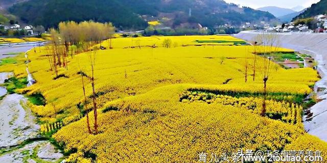 高钙小馒头自己做，孩子健康零食好选择，再也不用买钙片了