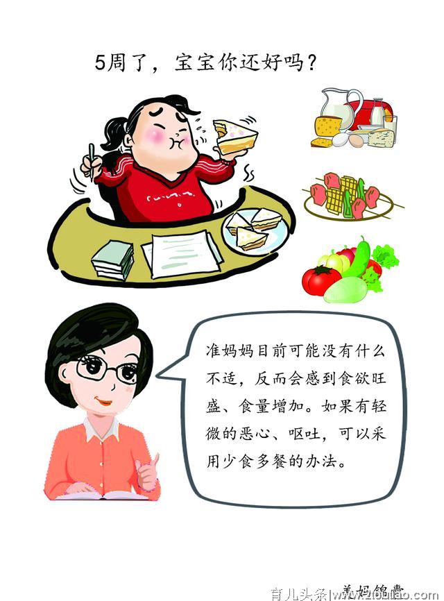 孕5周准妈妈饮食要点