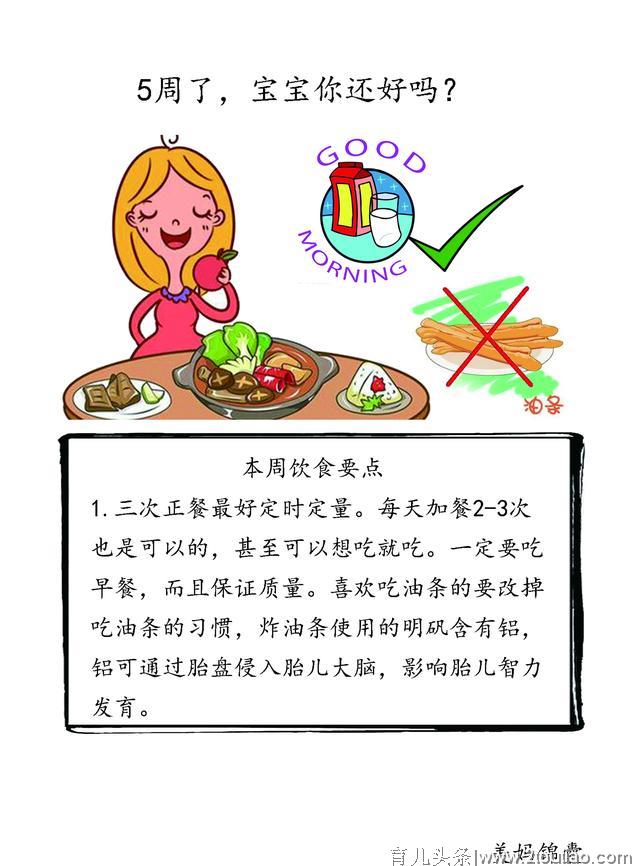 孕5周准妈妈饮食要点