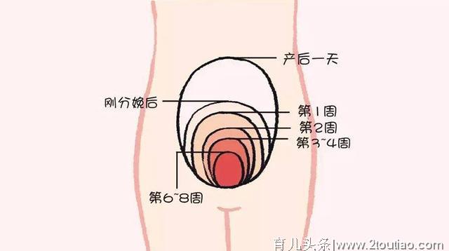 宝妈月子期养护之道，直接关系到终生健康，产后的护理至关重要