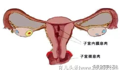 面对复发性流产-了解真想、破除迷信思想