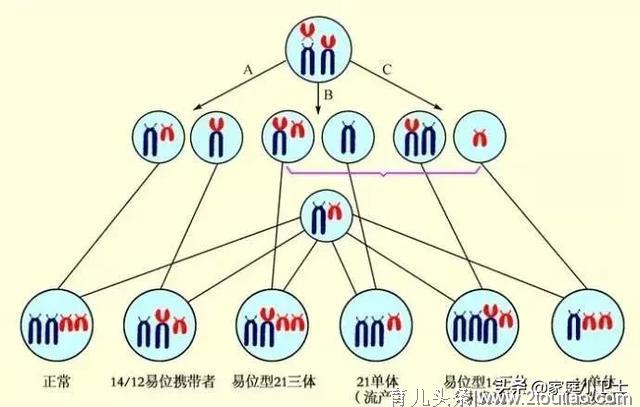 面对复发性流产-了解真想、破除迷信思想