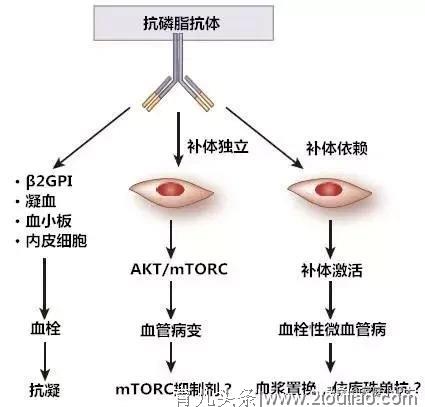 面对复发性流产-了解真想、破除迷信思想