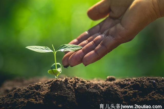 环境对孩子成长影响有多大？做好这几点，能保证孩子健康成长