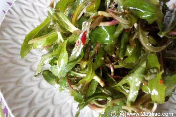 春季10种野菜，好吃又养生，错过要等一年，全部吃过的，算你厉害