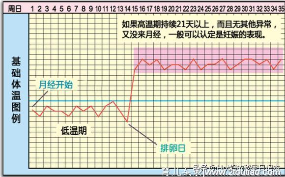 怎么判断自己是否怀孕？