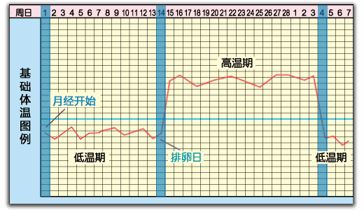 怎么判断自己是否怀孕？