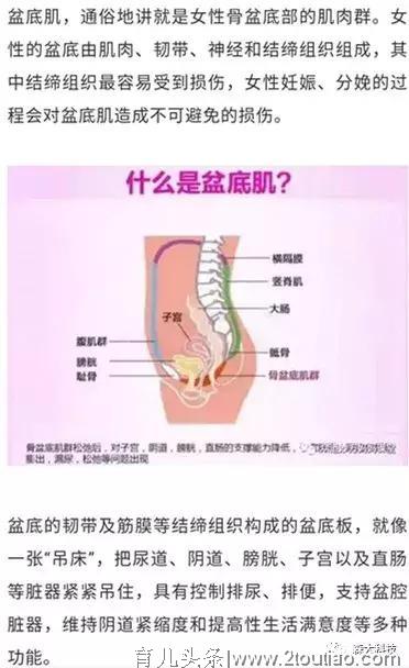 想要有一个好的性生活：产后修复盆底肌的重要性