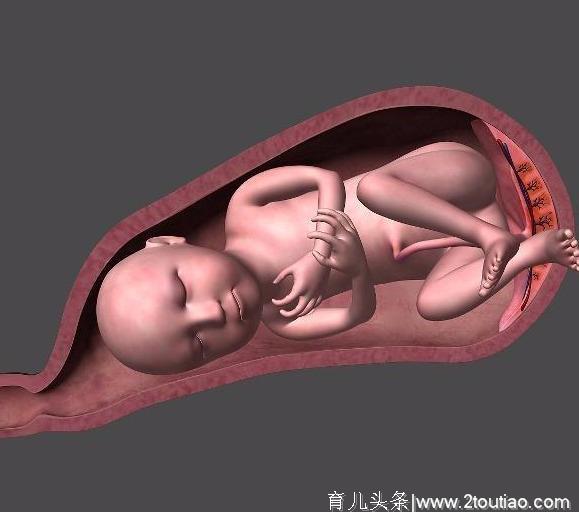 孕晚期你还在纠结顺产还是剖腹产？其实，身体早就替你做好决定了