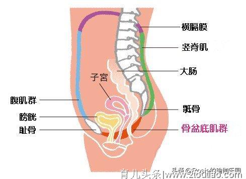 有一种痛可能从怀孕到生娃一路相随，只崩溃？妈妈们不妨做这些