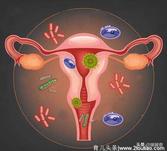 高龄产妇、高度近视、阴道炎、剖宫产过的孕妇，能顺产吗