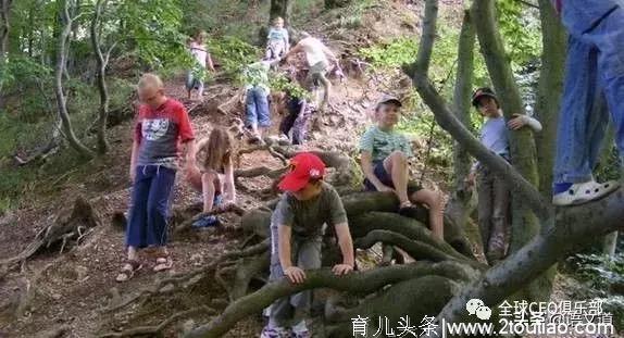 为什么德国人夺了一半的诺贝尔奖？答案竟然是：让孩子输在起跑线