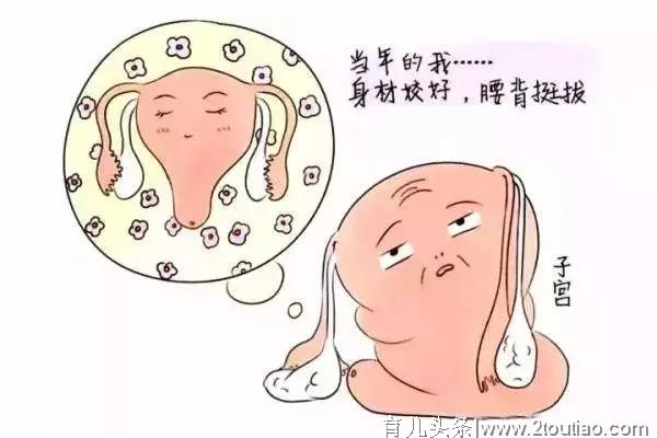 产后女人生殖器官恢复时间表！这就是为啥要好好坐月子！