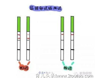 备孕篇：排卵期，你会推算吗？