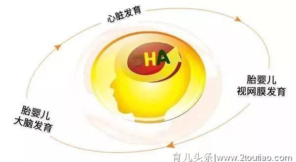 怀孕14周需要补DHA吗？孕期各阶段需要补充什么？建议收藏