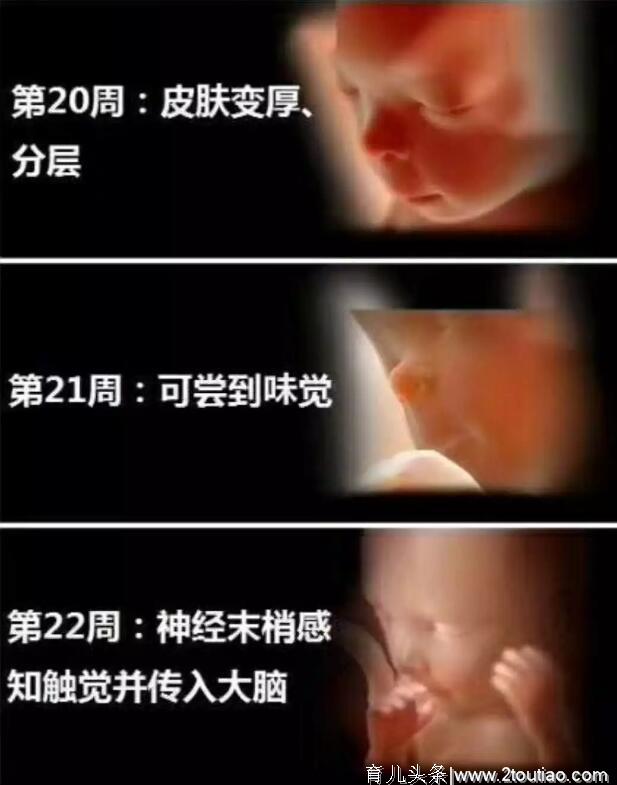 养出聪明宝宝从孕期开始，详解40周宝宝在子宫里发生的神奇变化