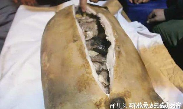 “大肉包”售价800元，切开的瞬间想哭，光石头占了一大半