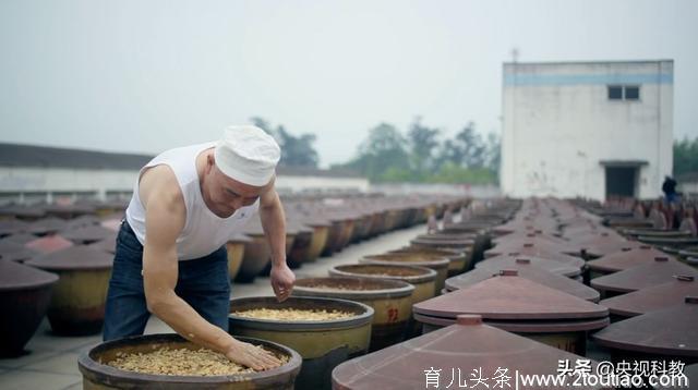 看完这部纪录片，我决定推迟减肥计划了