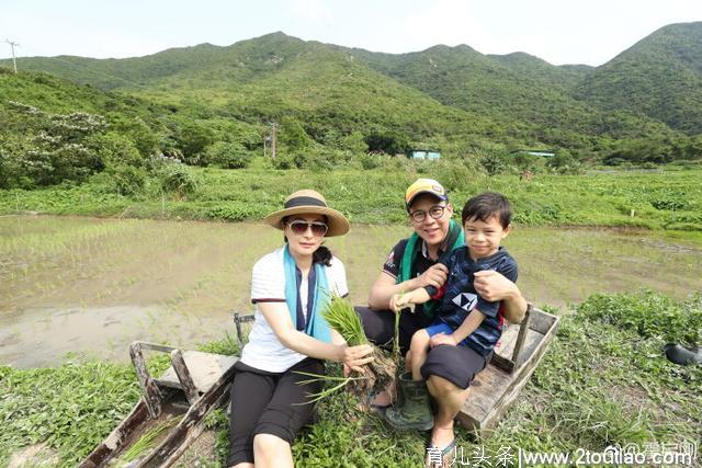 霍启刚郭晶晶夫妇带儿子下地插秧，百万人参与的教育热议背后