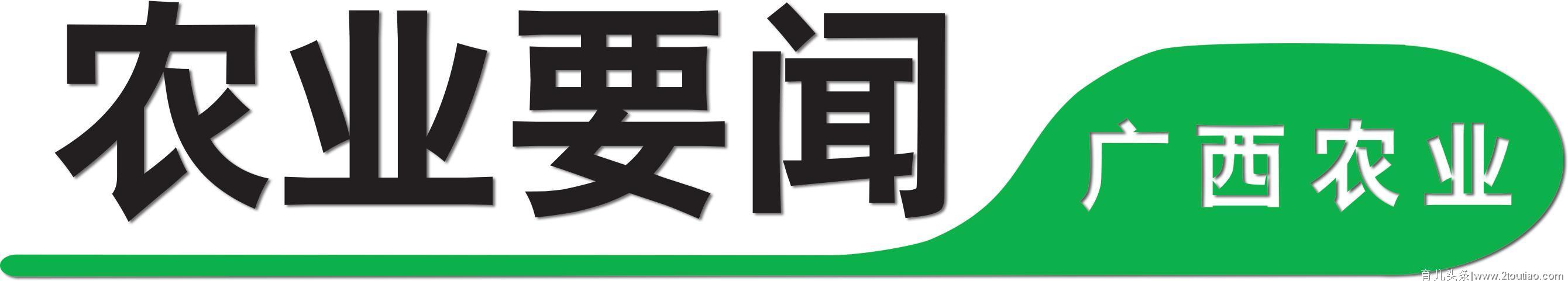 世界粮食计划署广西学龄前儿童营养改善项目座谈会在农业农村厅举行