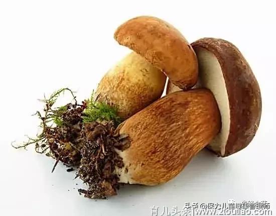 附15个菌类烹饪窍门，送给爱营养，爱美味，要健康的吃货们