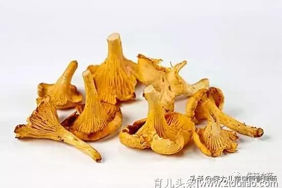 附15个菌类烹饪窍门，送给爱营养，爱美味，要健康的吃货们