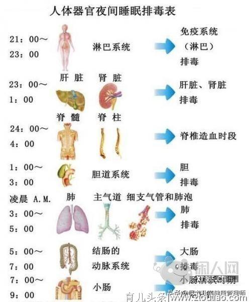 再不排毒你就要变成“毒人”（熬夜族必看）