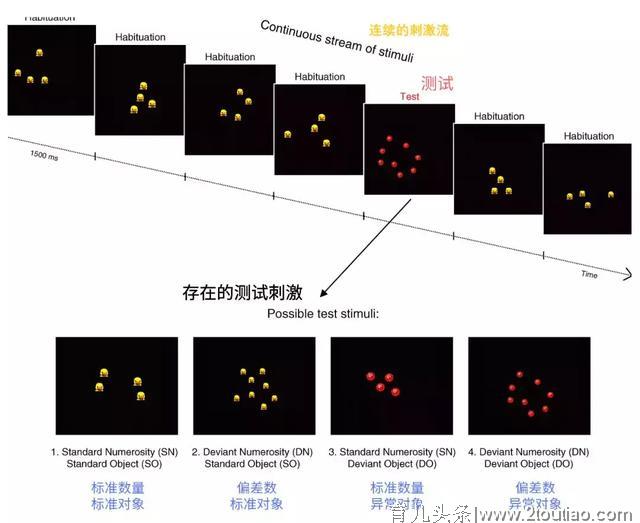 3个月就会数数？最好的数学早教只有1%的人知道！