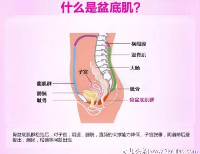 产后护理，盆底肌训练一定要注意