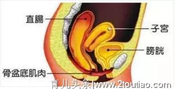 产后护理，盆底肌训练一定要注意