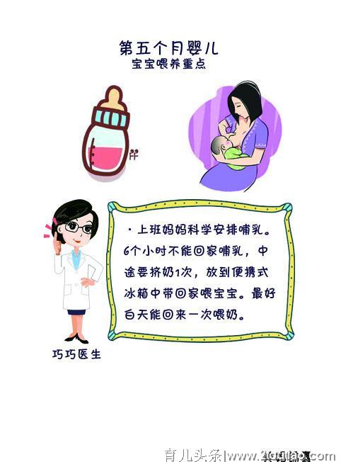 哺乳期妈妈要注意营养饮食搭配