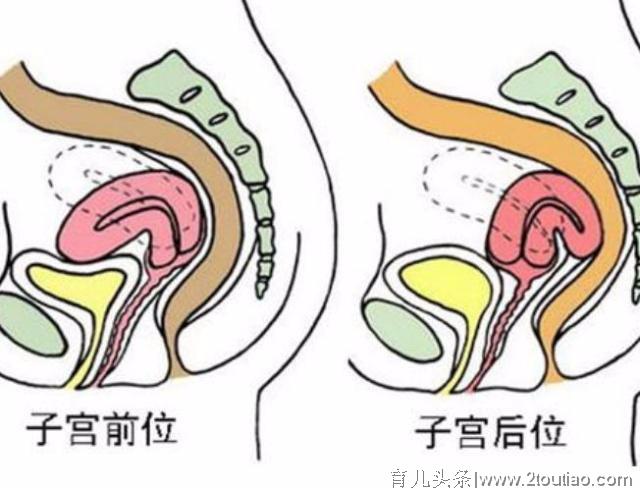 易孕的女人，身上一般有这4个共性，备孕的你可以对照一下