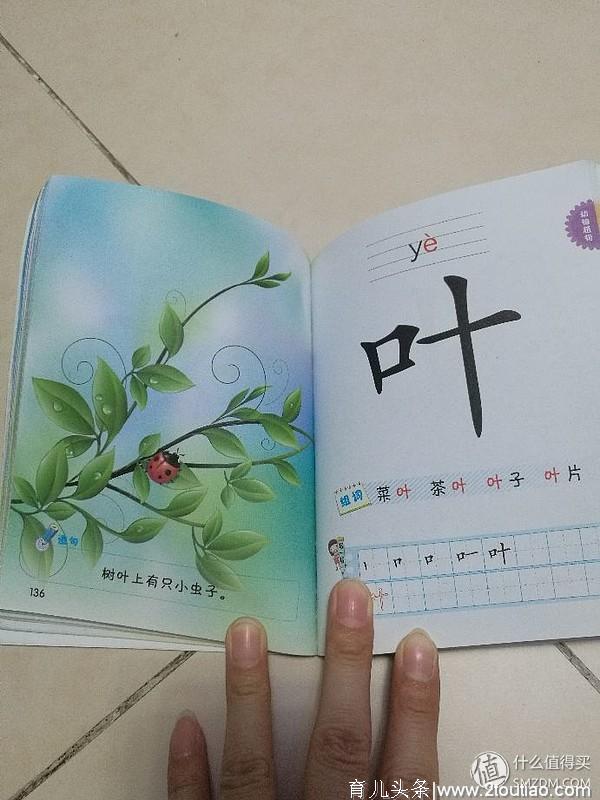 【幼儿早教】学龄前宝宝的启蒙教育历程分享—识字篇