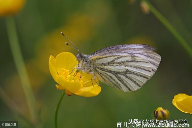 10个预防儿童感统失调的小游戏，让孩子健康快乐的成长